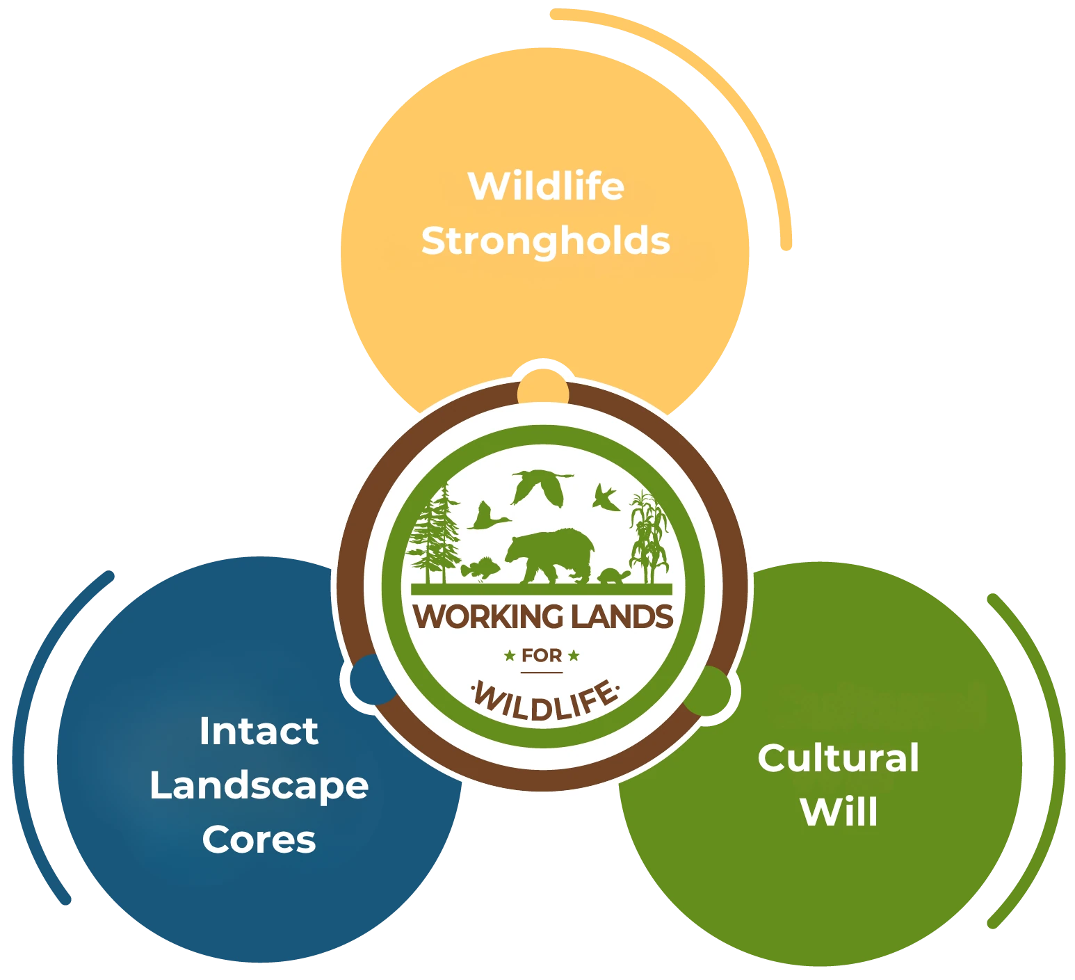 Working Lands for Wildlife approach diagram